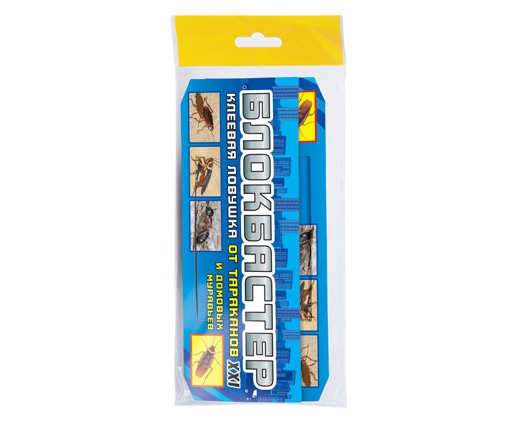 blockbaster 5