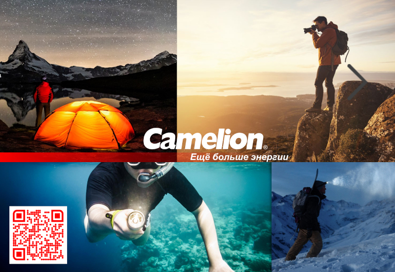 camelion bat 2 2