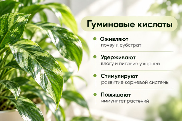 Гуминовые кислоты