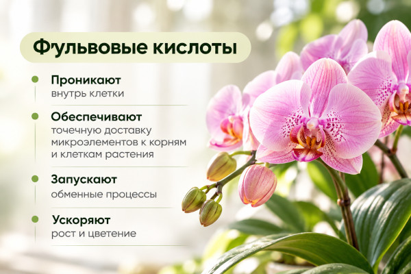 Фульвовые кислоты